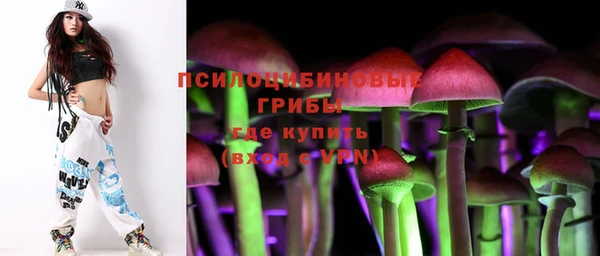 spice Алексеевка