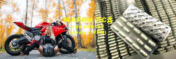 apvp Алзамай