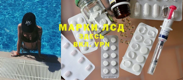 apvp Алзамай
